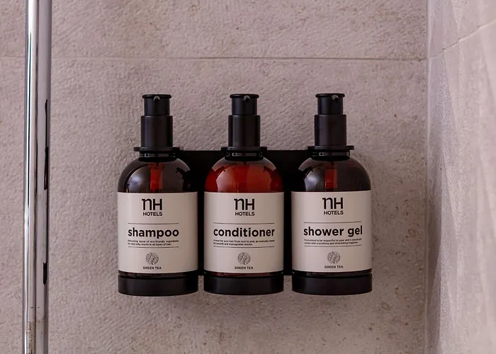 Hotel Nh Frankfurt Airport West 4*