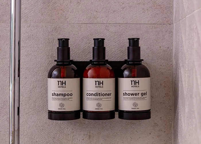 Hotel Nh Frankfurt Airport West 4*